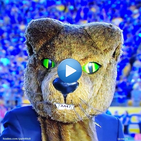 UCLA, not tonight sweetheart... #H2P