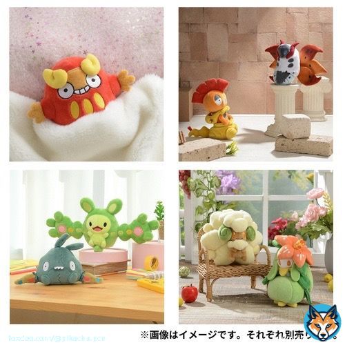「Pok&eacute;mon fit」イッシュ地方より #ポケモンセンター