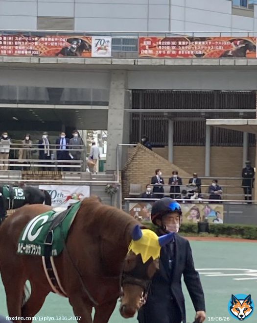 ルビーちゃんと今浪さんだ お目にかかれて嬉しい この場では声出せないけど頑張ってー #ルビーカサブランカ  #中京競馬場 #今浪さん