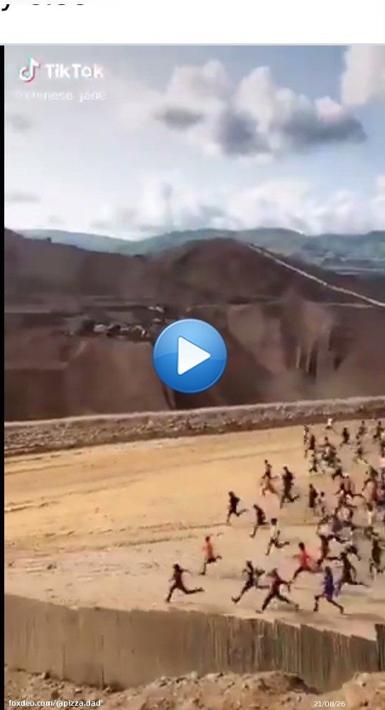 Everybody running to buy back dogecoin now that Elon is in charge #dogecoin