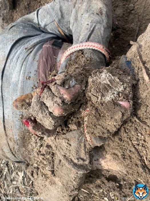 Torn-out nails. Tied hands. Another grave of 2 civilians was found in the village of Kalynivka, Kyiv region. How many such crimes are in the occupied territories right now?  \ud83c\uddf7\ud83c\uddfa chose the path of terror of the civilian populationtion and must be recognized as a sponsor of terrorism.