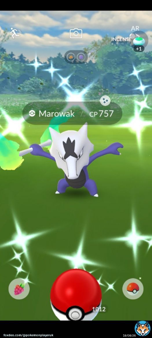 Shiny Marowak from the special research! #PokemonGo #Shiny #ShinyPokemon