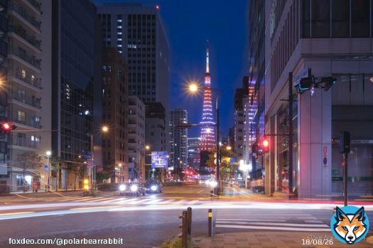 Reflected Tokyo Tower 重たいリュックを背負って沢山歩きます。 東京タワーが２つに見える場所を偶然見つけて、 数歩戻って三脚を組み直しました。^-^* #photo_travelers #photo_shorttrip  #tokyocameraclub  #Kaniフィルター  #東京タワー #FUJIFILM #natgeo #XT3 #XF1024 #東京都 #港区