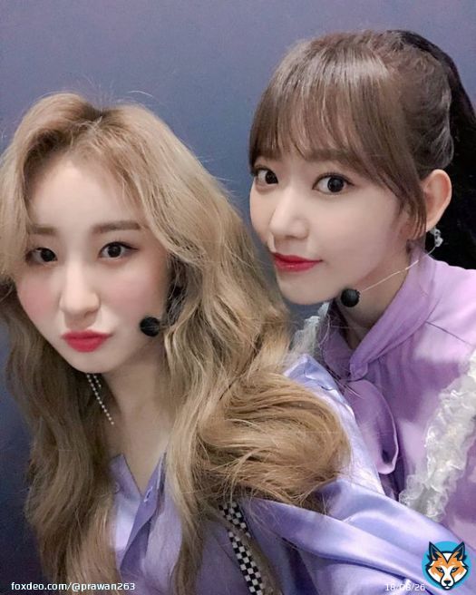 181122 - IZ*ONE IG    따스한 햇볕이 함께하는 목요일에 나타난 채연 데이 보라째욘이도 째냥이도 다 귀여운 걸 어떡하죠? 꾸라언니와의 투 샷도 오랜만이죠?  #채연DAY #채연Special #채연잔치 #채연선물  #이채연 #LeeChaeyeon #イチェヨン  #宮脇咲良&hellip;Show more