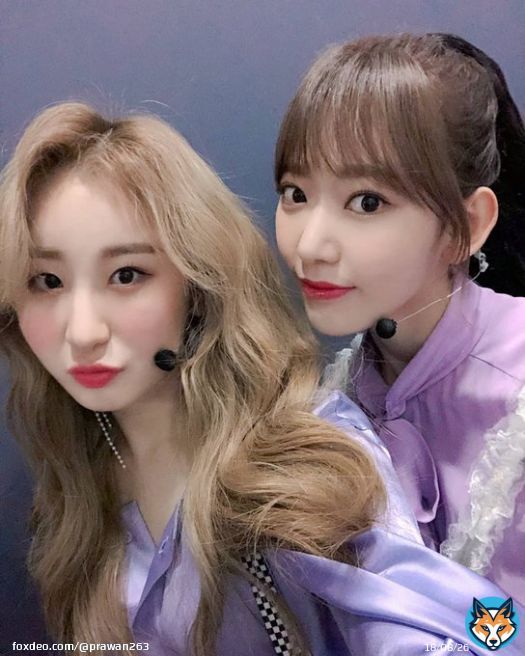 181122 - IZ*ONE IG    따스한 햇볕이 함께하는 목요일에 나타난 채연 데이 보라째욘이도 째냥이도 다 귀여운 걸 어떡하죠? 꾸라언니와의 투 샷도 오랜만이죠?  #채연DAY #채연Special #채연잔치 #채연선물  #이채연 #LeeChaeyeon #イチェヨン  #宮脇咲良&hellip;Show more