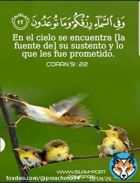 ،#TNTSportsMundial،#RiverDeSelecci&oacute;n،#TorneoLPF،#NationsLeaguexESPN،#CONCACAFNationsLeague،#BrasileiraoEnStarPlus،#EliminatoriasQatar2022،#Repechaje،#MLSxESPN،#FUTBOLxESPN،#ESPNenStarPlus،#QatarWorldCup2022,#2022_FIFA_World_Cup,#FIFAWorldCup2022Qatar,#qatarworldcup،#MarsalQatar