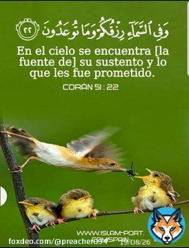 ،#TNTSportsMundial،#RiverDeSelecci&oacute;n،#TorneoLPF،#NationsLeaguexESPN،#CONCACAFNationsLeague،#BrasileiraoEnStarPlus،#EliminatoriasQatar2022،#Repechaje،#MLSxESPN،#FUTBOLxESPN،#ESPNenStarPlus،#QatarWorldCup2022,#2022_FIFA_World_Cup,#FIFAWorldCup2022Qatar,#qatarworldcup،#MarsalQatar