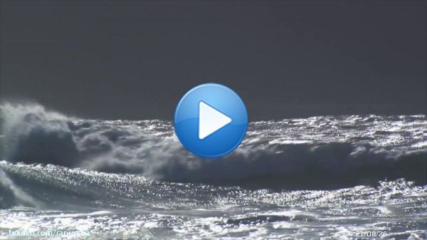 Сьогодні в Україні відзначають День морської піхоти.   Свято започатковане у 2014 році, і у 2014-2017 роках відзначалося 16 листопада. У 2018 році указом президента України День морської піхоти перенесено й новою датою святкування визначено 23 травня