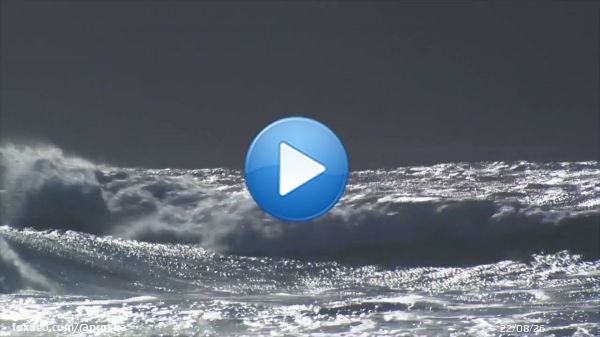 Сьогодні в Україні відзначають День морської піхоти.   Свято започатковане у 2014 році, і у 2014-2017 роках відзначалося 16 листопада. У 2018 році указом президента України День морської піхоти перенесено й новою датою святкування визначено 23 травня
