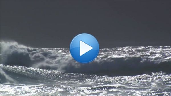 Сьогодні в Україні відзначають День морської піхоти.   Свято започатковане у 2014 році, і у 2014-2017 роках відзначалося 16 листопада. У 2018 році указом президента України День морської піхоти перенесено й новою датою святкування визначено 23 травня