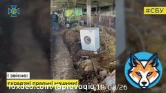PROOF THAT ORCS ARE PIGS Ukrinform TV : 'The SBU received indisputable evidence that Putin's dogs are real pigs in real life'