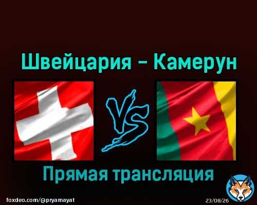 Швейцария &mdash; Камерун 24 ноября 2022 года прямая трансляция