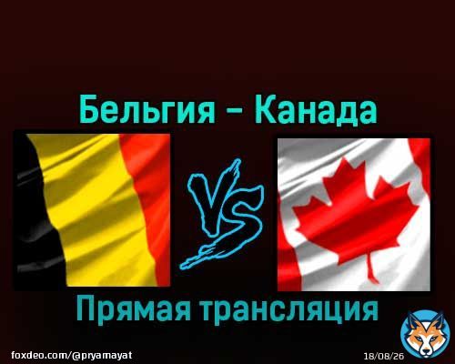 Бельгия &mdash; Канада 23 ноября 2022 года прямая трансляция