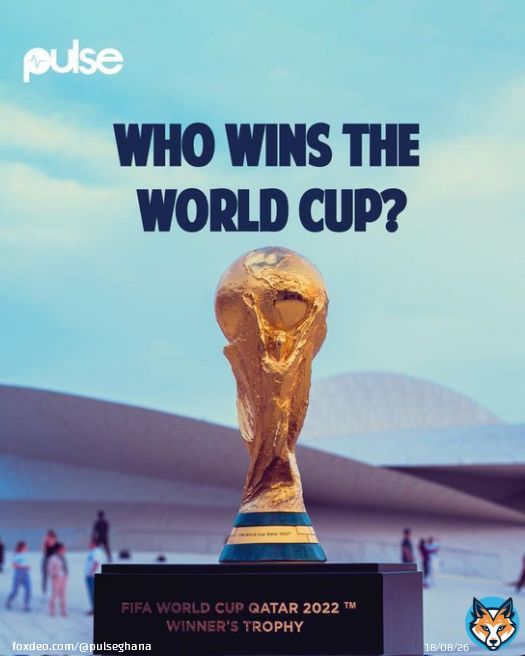 Which country will win the 2022 World Cup?  #PulseSports #PulseWorldCup2022 #PulseQatar22 #FIFAWorldCup #Qatar2022