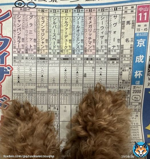 #日経新春杯　#京成杯 おはよーございます  【日経新春杯】 　\u25c9ロバートソンキー 　　3連複軸1頭流し\u25c9&rarr;01.02.04.08  【京成杯】 　ソールオリエンス 　グラニット 　シャンパンカラー 　　ワイドBOX  　ドッグラック