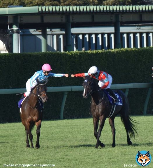 スプリンターズステークス  優勝ジャンダルムさん  おめでとうございます(⁠\u2606⁠\u25bd⁠\u2606⁠)  荻野騎手と菊沢騎手のグータッチ  #ジャンダルム  #スプリンターズステークス