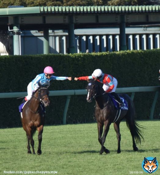スプリンターズステークス  優勝ジャンダルムさん  おめでとうございます(⁠\u2606⁠\u25bd⁠\u2606⁠)  荻野騎手と菊沢騎手のグータッチ  #ジャンダルム  #スプリンターズステークス