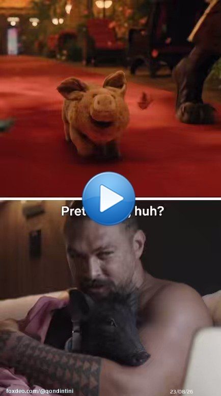 Every time Senator My Boo explodes my ovaries, Jason Momoa regenerates them  It&rsquo;s the circle of life    Him and his pet pig watching #Slumberland is just