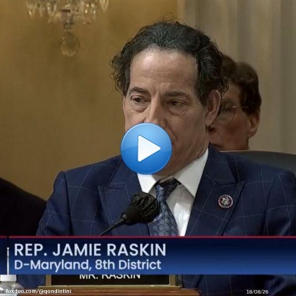 Rep Jamie Raskin reading out the criminal referrals for Trump and his co-conspirators including aiding an insurrection  #January6thCommittee
