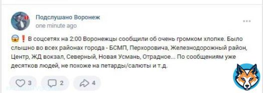 питун бомбит Воронеж