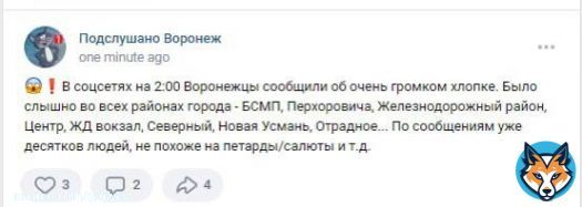 питун бомбит Воронеж