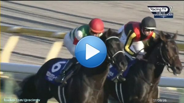 'It was just about holding your position.'  Vela Azul looked up against it in the #JapanCup but Ryan Moore knew what he had beneath him.   #LuckOnSunday @ABE_Dubai  #ヴェラアズール   @HorseRacing_JPN #JRA