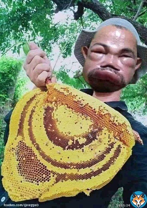 He wanted to be a beekeeper…  #memes #bees #beekeeping #tuesdaymotivations