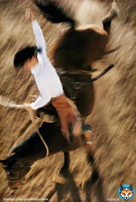 Bronco Rider, California 1957 by Ernst Haas