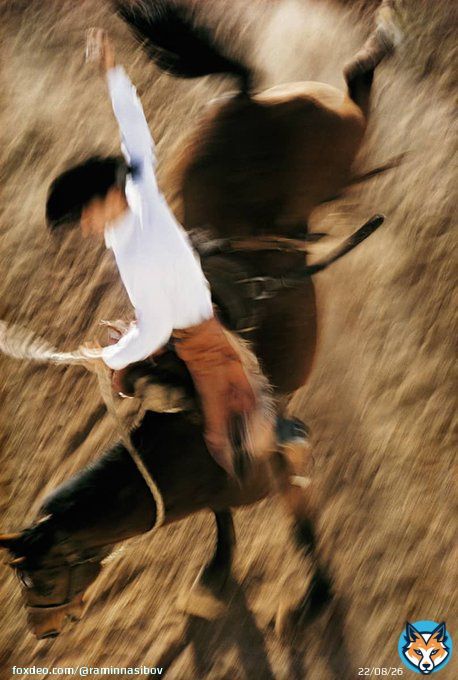 Bronco Rider, California 1957 by Ernst Haas