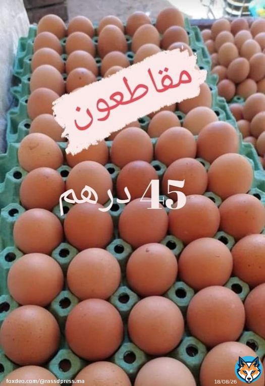 فين غادي بيا خويا فين غادي بيا...   #مقاطعون   #خليه_يفقص   #لا_لغلاء_الأسعار