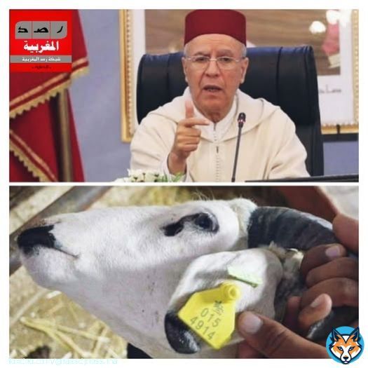 التوفيق وزير الأوقاف المغربي باغي يطنݣنا : 'قاعات الصلاة ستغلق للأبد وسنعوضها بمساجد ذات ترقيم نعرف من يصلي فيها'...ليس ببعيد أن يصبح عما قريب الدخول للمساجد يحتاج إلى… En voir plus