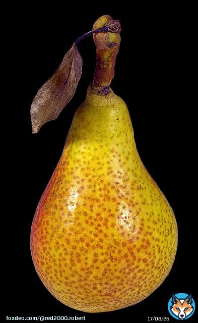 Photo By anaterate | Pixabay - via @Crowdfire    #pear #williamschrist #dessertfruit #photography #travelphotography #streetphotography #photographylovers #photographyislife