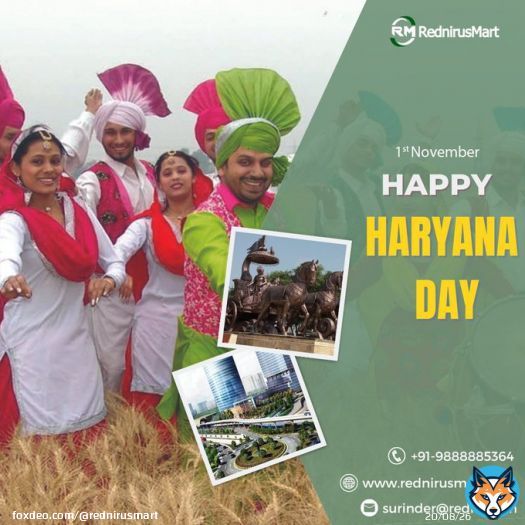 Haryana day is celebrated on November 1st and marks the formation of the state of Haryana on this day in 1966.  #haryana #haryanaday #regional #haryanvi  #haryanaroadways #HaryanaNews #hisar #gurugramcity #rohtak #kurukshetra #panchkula #bhiwani #kaithal #RednirusMart