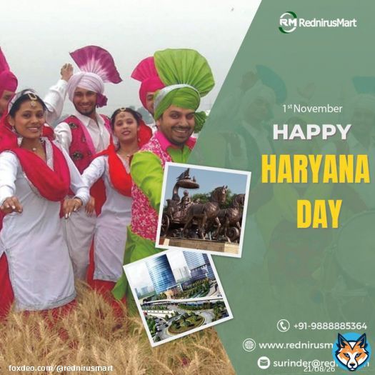 Haryana day is celebrated on November 1st and marks the formation of the state of Haryana on this day in 1966.  #haryana #haryanaday #regional #haryanvi  #haryanaroadways #HaryanaNews #hisar #gurugramcity #rohtak #kurukshetra #panchkula #bhiwani #kaithal #RednirusMart