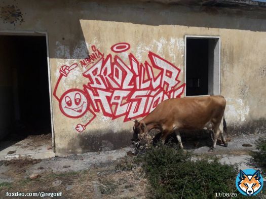Albania, in the near of the border to Montenegro.