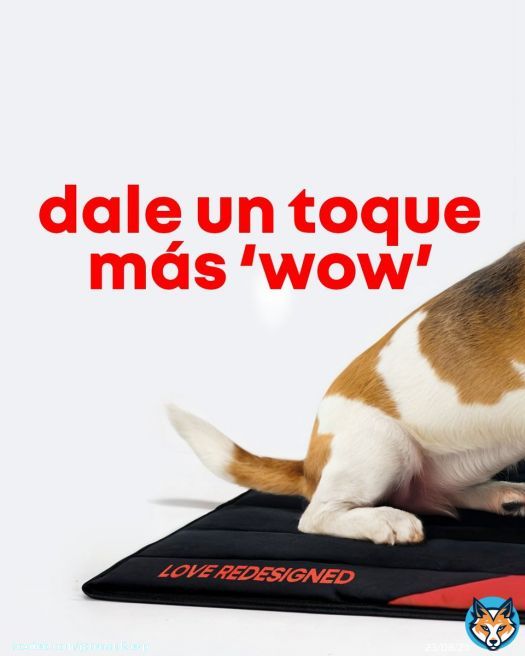 consigue el podium bajo el árbol de Navidad con los regalos de #TheOriginals para los que más quieres, incluido tu amigo de cuatro patas.​ ​ pídelos online en  o encuéntralos en nuestra red de concesionarios