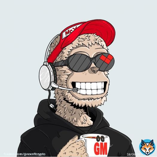 GM NFT & Crypto World  Say it back.   If you are a:  - Promoter - Founder - Collab Manager - Moderator - Developer - Community Manager - Artist - Mode - Advisor - Trader - Giveaway participant - Anything else - Reply guy  Which one are you ?  #Crypto #Nfts #Bitcoin #Eth #Web3