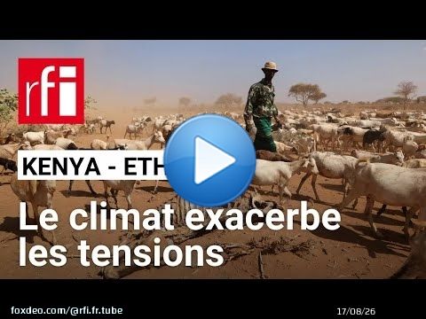 « Il faut une action transfrontalière pour le partage des ressources » • RFI