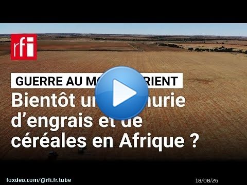 Guerre au Moyen-Orient : l'impact sur l'importation d'engrais et d'aliments en Afrique • RFI
