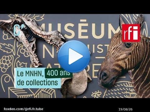 Le Muséum d'histoire naturelle, 400 ans de collections • RFI