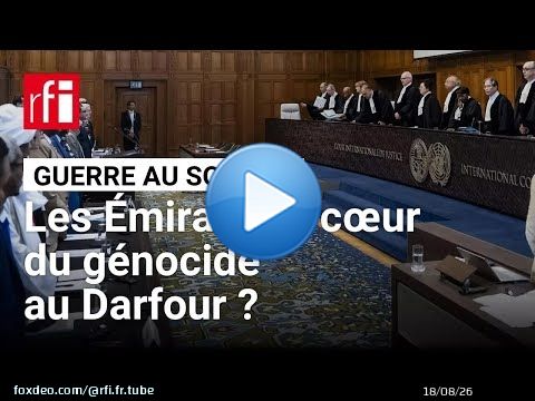 Guerre au Soudan : que sait-on des accusations de génocide contre les Émirats arabes unis ?