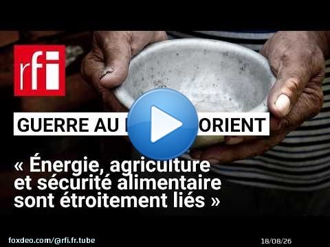 Guerre au Moyen-Orient : « Plus de personnes aujourd'hui en insécurité alimentaire » • RFI