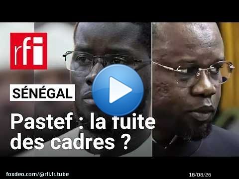 Sénégal : des cadres du Pastef quittent le parti pour se rapprocher du camp présidentiel • RFI