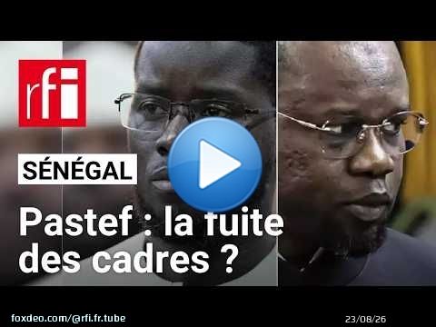 Sénégal - Crise au sommet de l'État : les cadres du Pastef choisissent leur camp