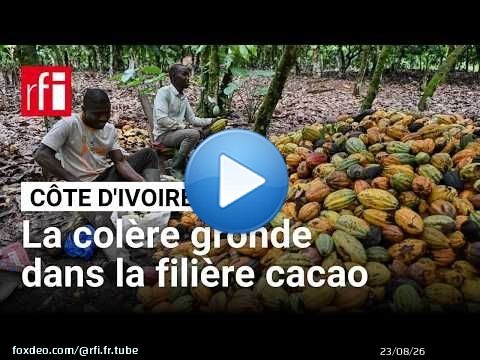 Côte d'Ivoire : des organisations interpellent les autorités sur des stocks non-enlevés de cacao