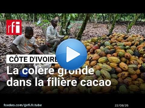 Côte d'Ivoire : des organisations interpellent les autorités sur des stocks non-enlevés de cacao