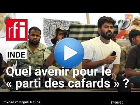 Inde : comment le « parti des cafards » entend poursuivre son mouvement ? • RFI