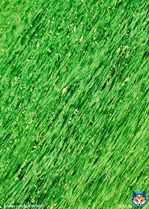 ???????????????????????????????? ????????????????????  #photography #canon #nature #sea #water #paradigmshift #perspective #naturephotography #naturelovers #natureza #Naturaleza #picoftheday #photographyisart #photographyislife #friday #betteronvero 