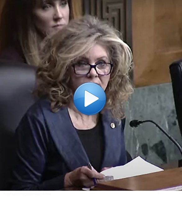 Messy backwoods Marsha Blackburn is one Lauren Boebert lazy bitchfest away from becoming a maddeningly treasonous grifter Marjorie Taylor Greene.