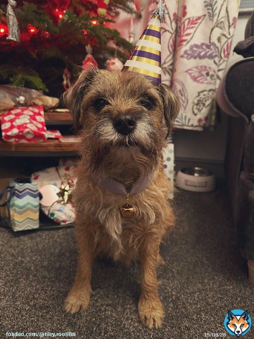 Happy Christmas to my pals far and wide, I love you all so very much #BTPosse #ilovemypals #MerryChristmas #MerryXMas